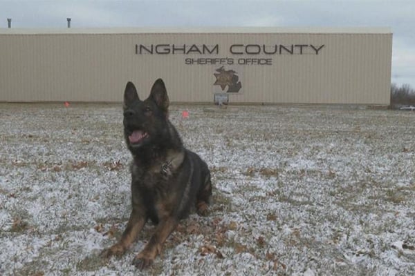 Comedy Fundraiser Held to Support Ingham County’s K-9 Team