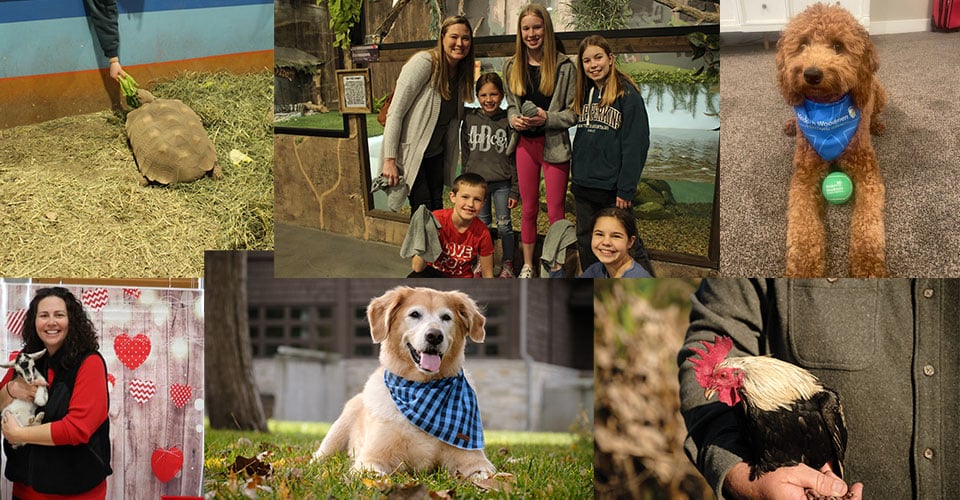 A collage of photos from Modern Woodmen's Wild About Animals initiative.
