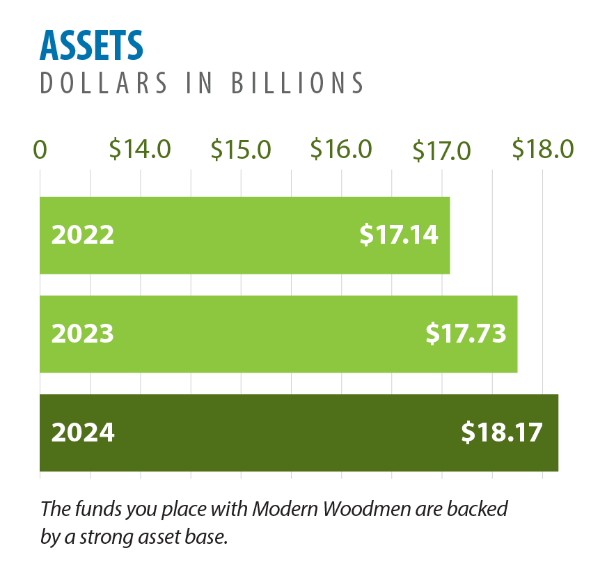 Growth in assets_2024.png