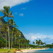 beach in Hawaii
