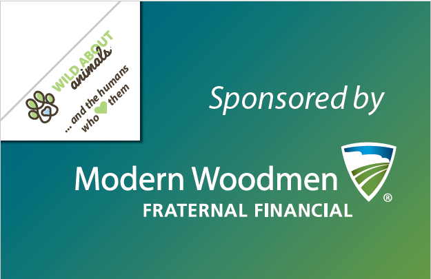 Sponsored by Sign.png