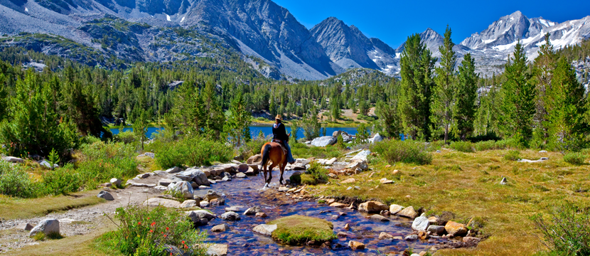 National Park Pass image