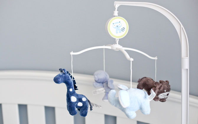 Newborn Benefit image